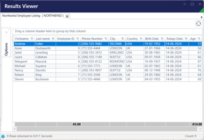 Execute a Query – Spreadsheet Server